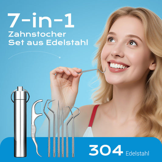 ⏳Begrenzte Zeit 50% Rabatt💥Edelstahl Zahnstocher Set | Hygienisch & Langlebig 🦷✅
