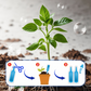 🔥Køb 5 Få 5 GRATIS💥Flydende genoplivningsmiddel til flere planter